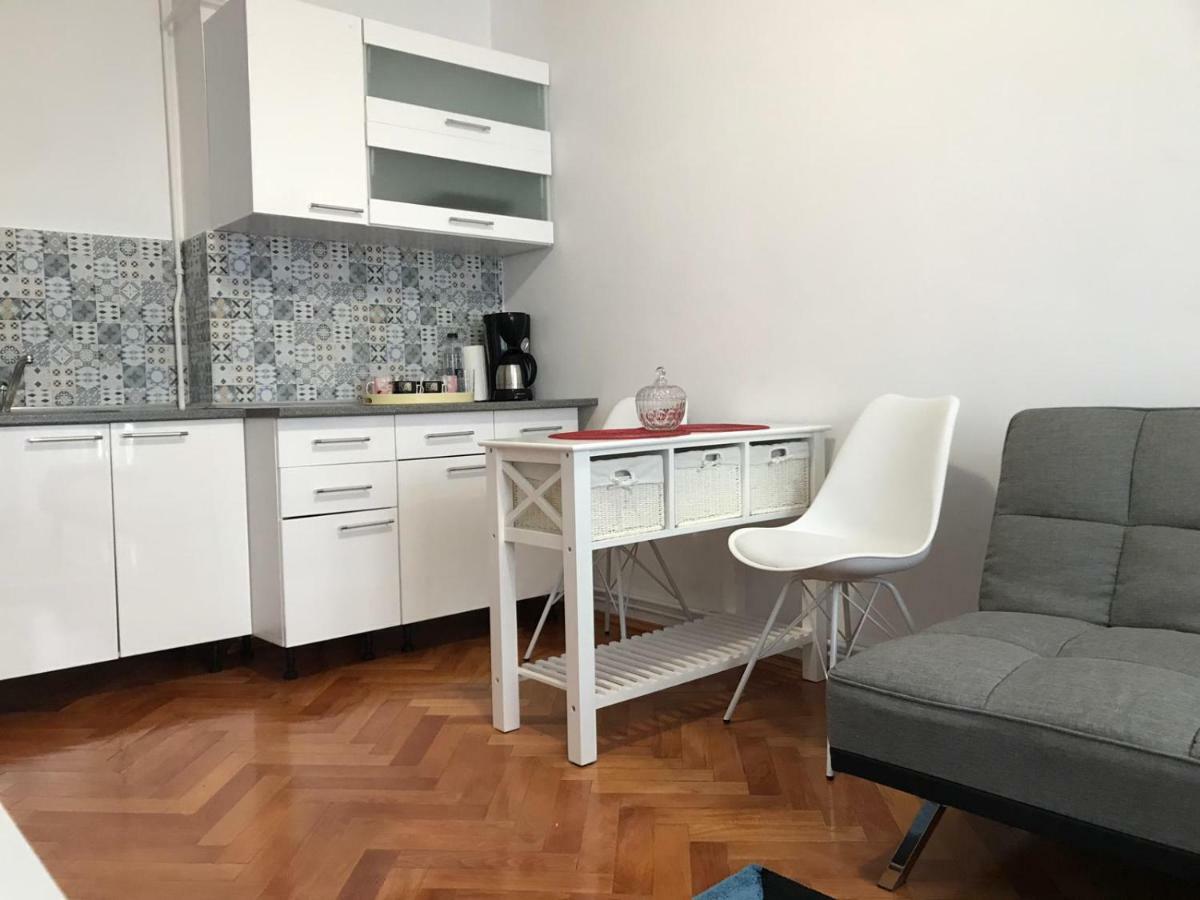Central View Apartment Тимишоара Экстерьер фото
